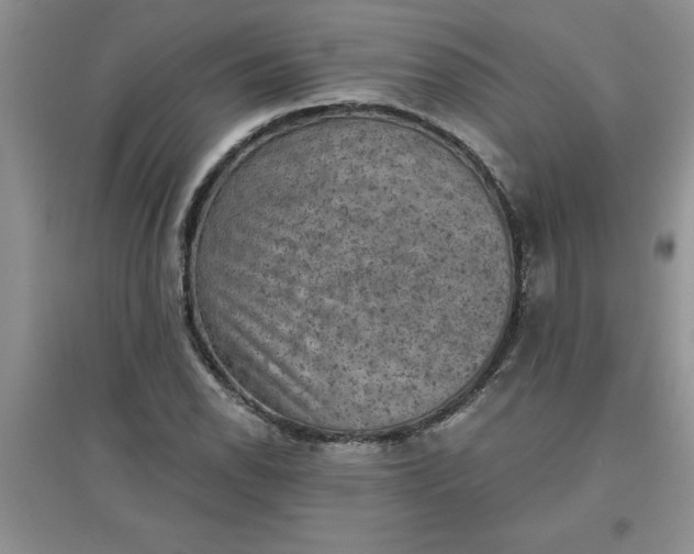 X0000097611118200803141933