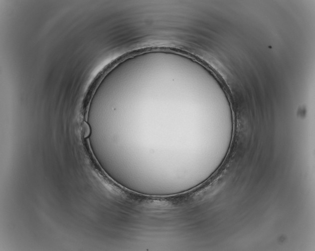 X0000097611119200803141933