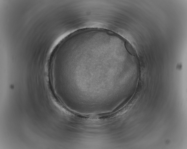 X0000097611120200803141933