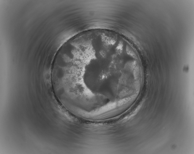 X0000097611121200803141933