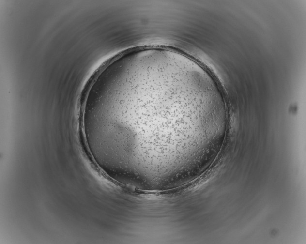 X0000097611124200803141933