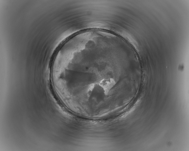 X0000097611125200803141933