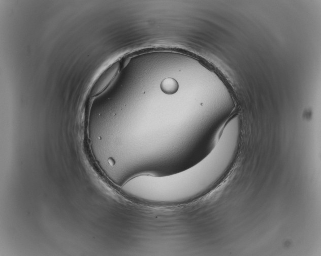 X0000097611126200803141933