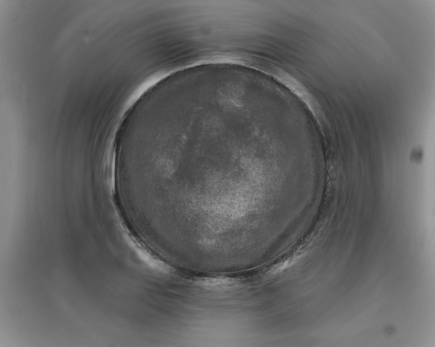 X0000097611127200803141933