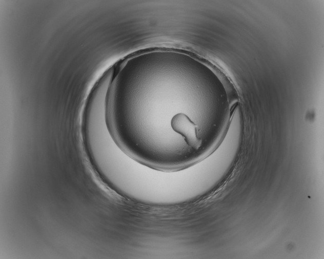 X0000097611128200803141933