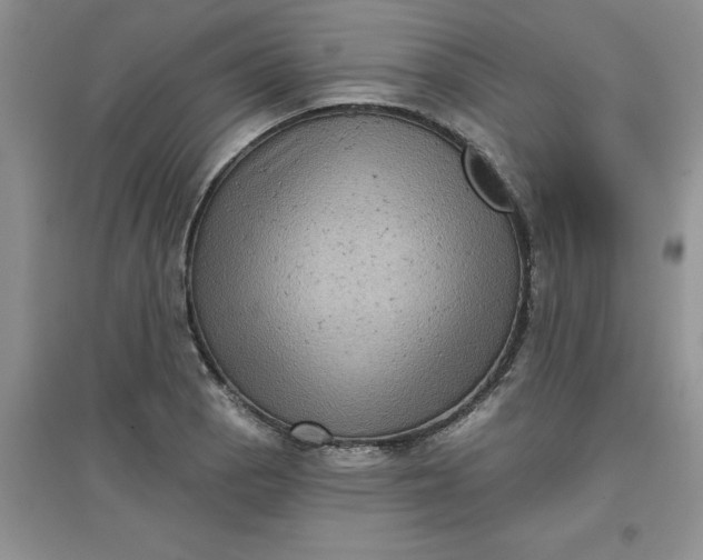 X0000097611129200803141933