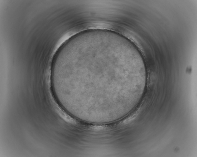 X0000097611130200803141933