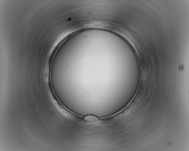 X0000097611131200803141933