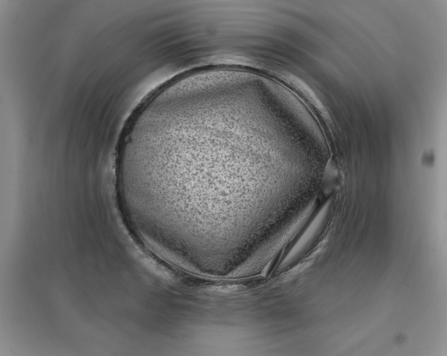 X0000097611133200803141933