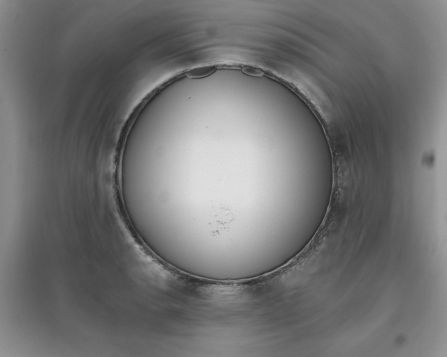 X0000097611134200803141933