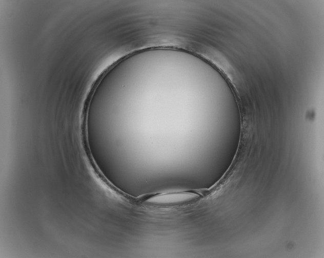 X0000097611135200803141933