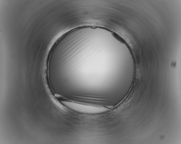 X0000097611136200803141933