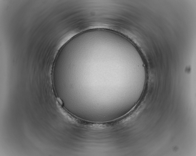 X0000097611137200803141933