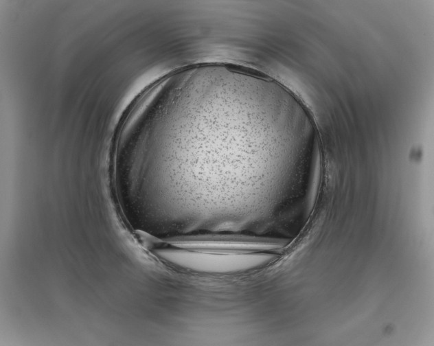 X0000097611138200803141933