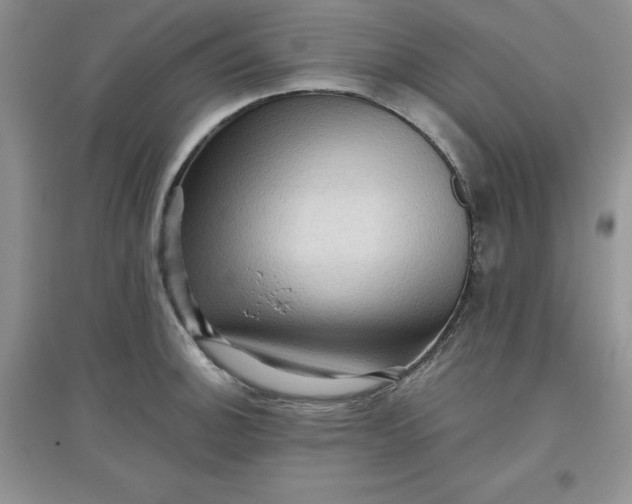 X0000097611140200803141933