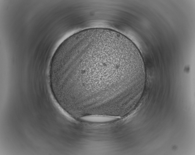 X0000097611142200803141933