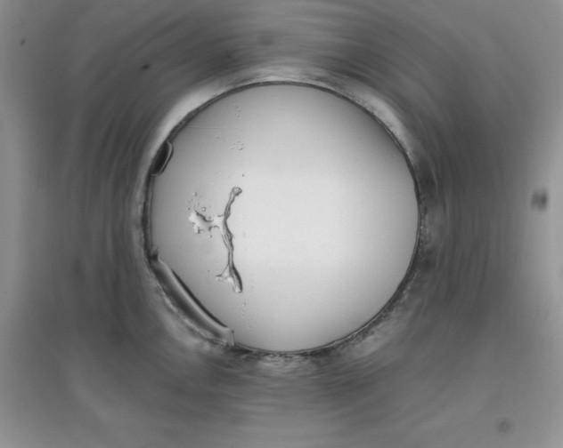 X0000097611146200803141933