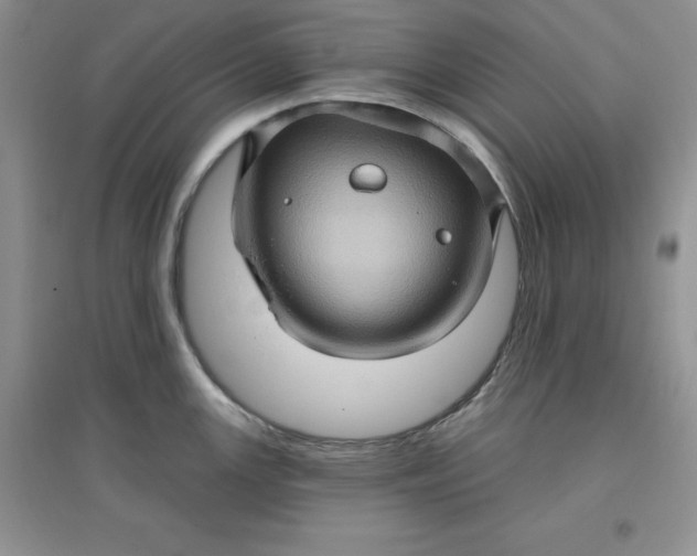 X0000097611147200803141933