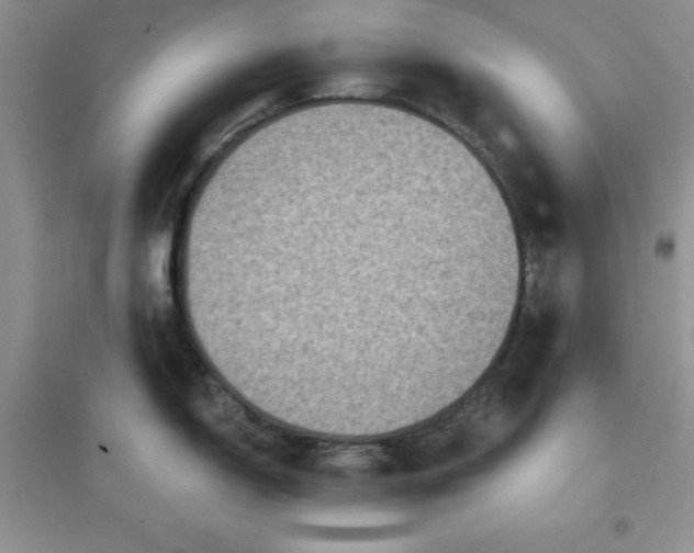 X0000097611150200803141933