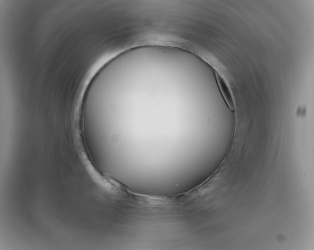 X0000097611152200803141933