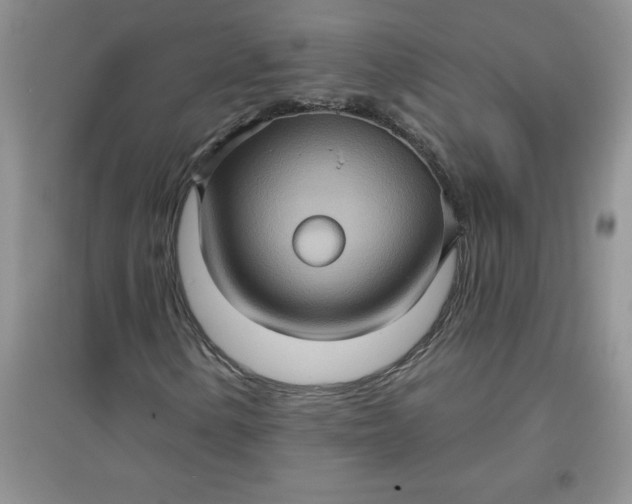 X0000097611154200803141933