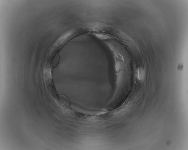 X0000097611155200803141933