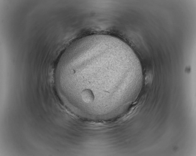 X0000097611156200803141933