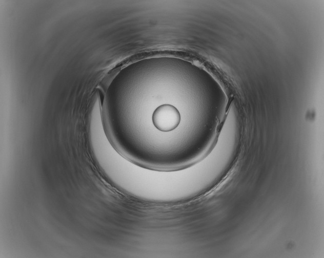 X0000097611161200803141933