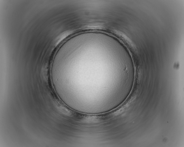 X0000097611162200803141933