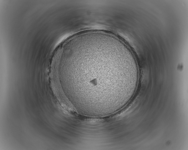 X0000097611163200803141933