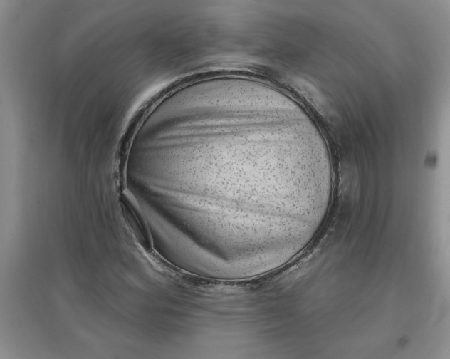 X0000097611164200803141933