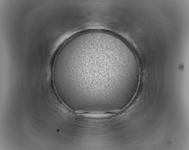 X0000097611167200803141933