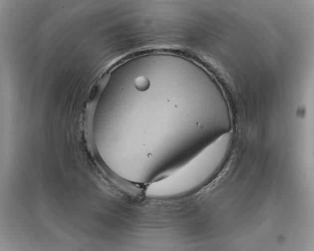 X0000097611169200803141932