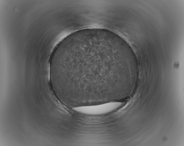 X0000097611171200803141932