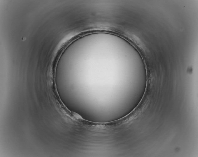 X0000097611172200803141932