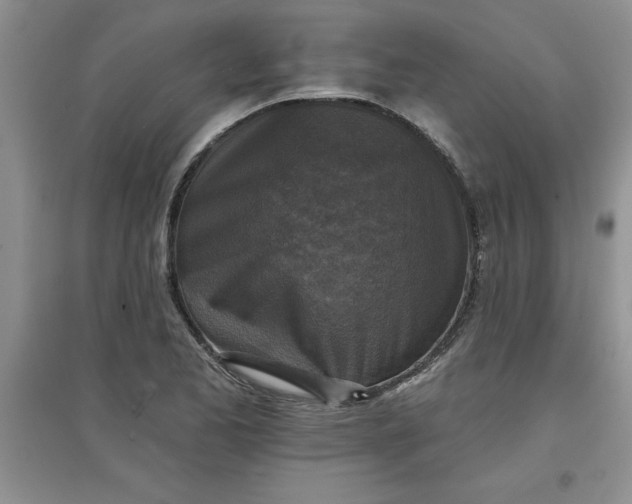 X0000097611173200803141932