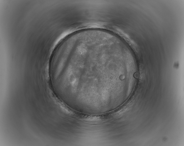 X0000097611174200803141932