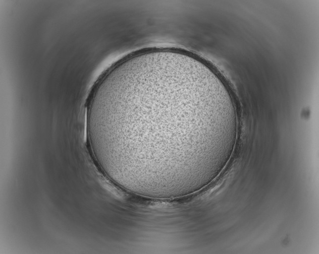 X0000097611175200803141932