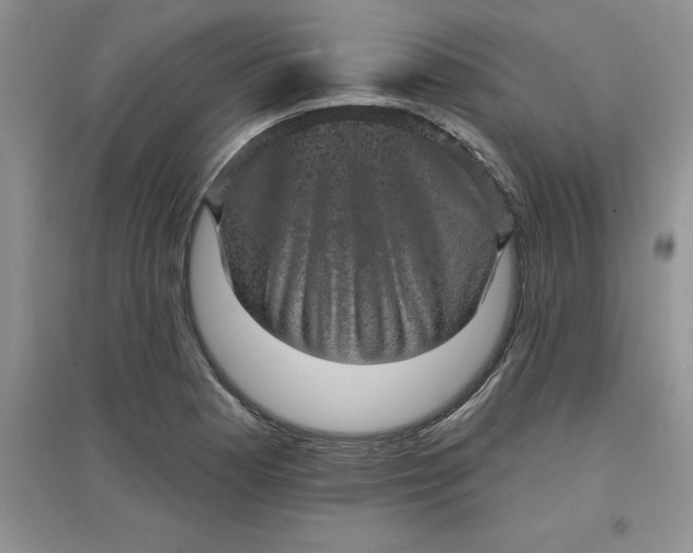 X0000097611177200803141932