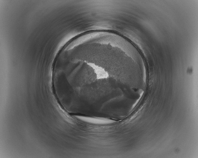 X0000097611179200803141932