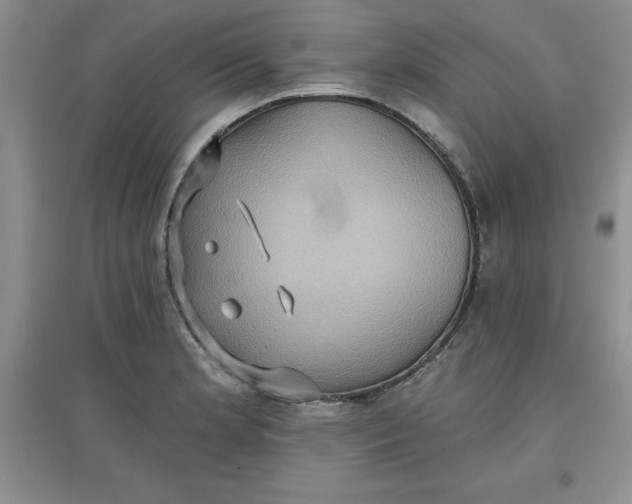 X0000097611181200803141932