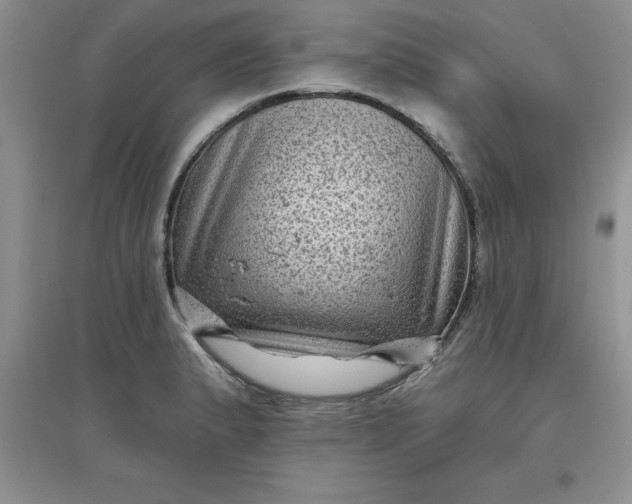 X0000097611183200803141932