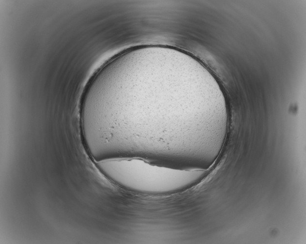 X0000097611184200803141932