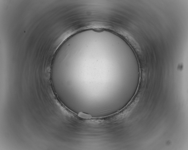 X0000097611185200803141932