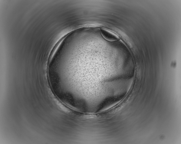 X0000097611186200803141932