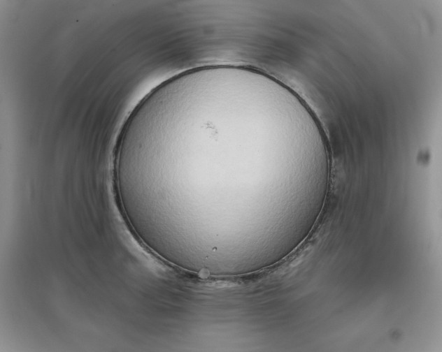 X0000097611187200803141932