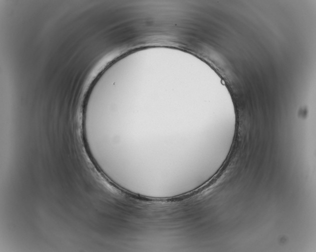 X0000097611188200803141932