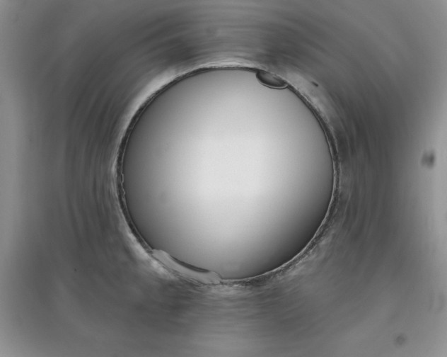 X0000097611189200803141932