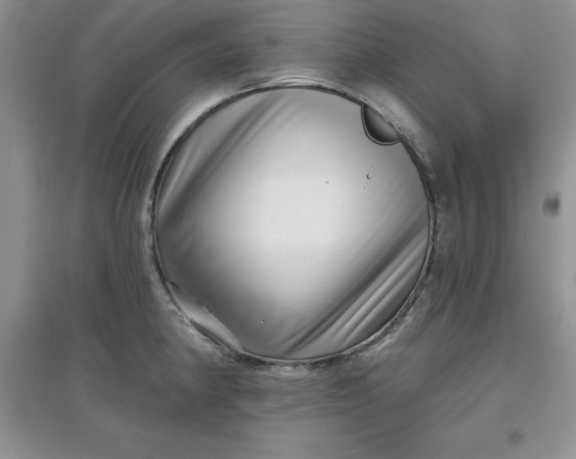 X0000097611190200803141932