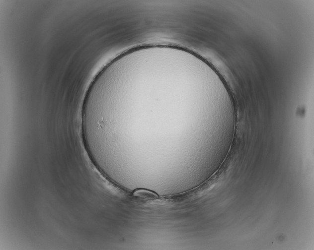 X0000097611191200803141932